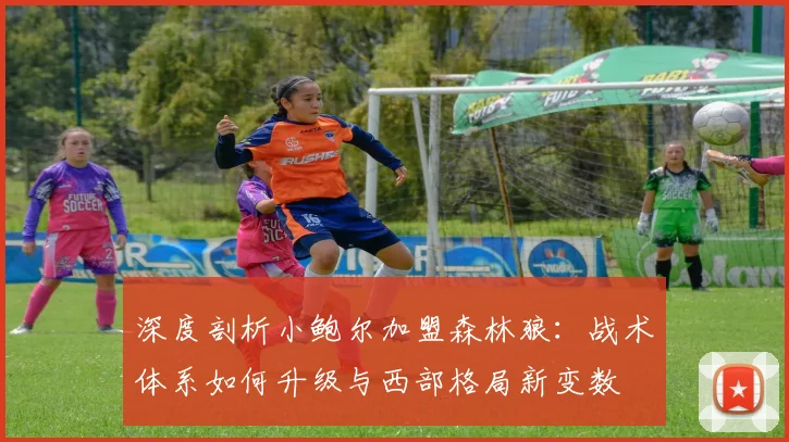 深度剖析小鲍尔加盟森林狼：战术体系如何升级与西部格局新变数