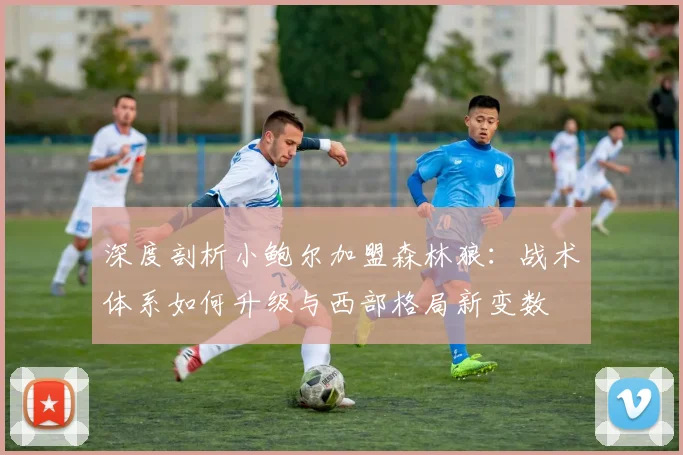 深度剖析小鲍尔加盟森林狼：战术体系如何升级与西部格局新变数