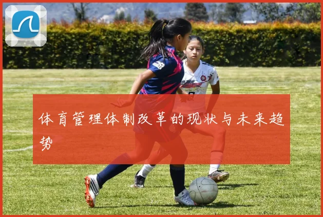 体育管理体制改革的现状与未来趋势